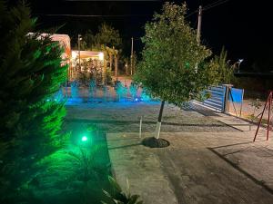 a tree in a yard at night with green lights at GK Houses #2 in Asprovalta