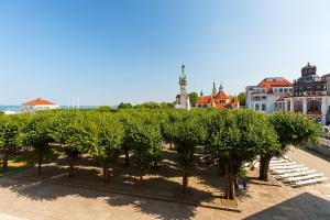 a row of trees in a park in a city at Sheraton Sopot Hotel in Sopot