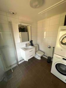 a bathroom with a toilet and a sink and a washing machine at Lilla Ridhuset in Löddeköpinge +9 photos