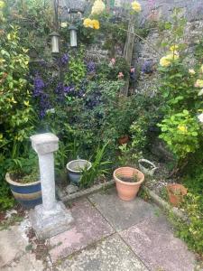 a garden with pots of flowers and plants at Ivybridge Cottage in Ivybridge +2 photos