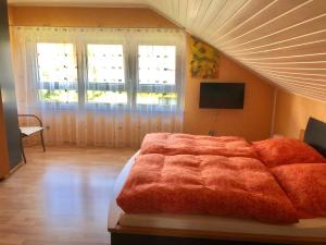 1 dormitorio con 1 cama grande y 2 ventanas en Super XXL Ferienwohnung 73 qm, mit Balkon, en Cadolzburg