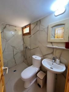 a bathroom with a toilet and a sink at Nashos Bungalows in (( Spile ))