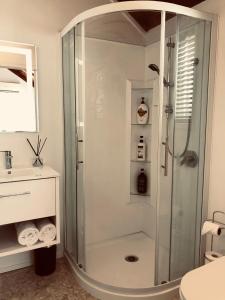 a bathroom with a shower and a sink at Palm Beach Cottage with Private Spa Pool & Possibly a Cheap Car to rent in Palm Beach