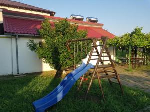 a playground with a blue slide and a ladder at Vila Orizont in Venus