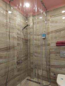 eine Dusche mit Glastür im Bad in der Unterkunft Marvel Suites in Istanbul