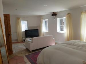 a bedroom with a white couch and a television at Romantisches Ferienhaus in Moselnähe in Maring-Noviand