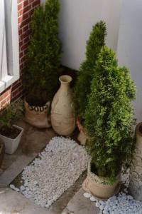 Fotografie z fotogalerie ubytování Spring Day v destinaci Čondžu