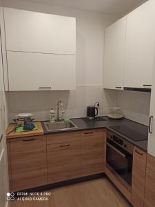 Kuchyňa alebo kuchynka v ubytovaní Hostel Pałacyk
