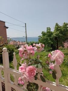 Una cerca blanca con flores rosas. en al porticciolo en Trieste