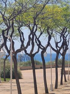 Fotografie z fotogalerie ubytování Islantilla Centro Primera Linea v destinaci Islantilla