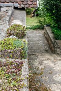 Myrtus Pince és Vendégház外面的花园