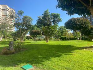 A garden outside Playamar Primera linea front beach