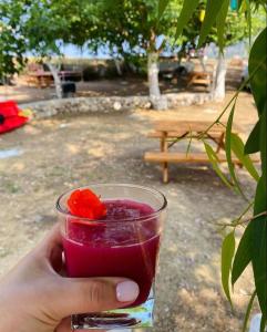 a hand holding a drink with a raspberry in it at Adrasan Akasya Pansiyon in Kumluca