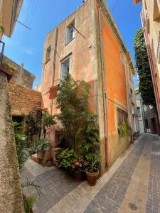 an alley in an old building with potted plants at Chambre_privée_Collioure_centre in Collioure