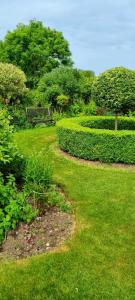 a garden with a bench and grass and bushes at The Nest in Coveney