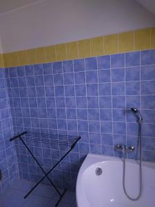 a blue tiled bathroom with a shower and a toilet at Penzion Tatry in Veľká Lomnica