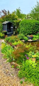 a garden with a bench and some plants at The Nest in Coveney