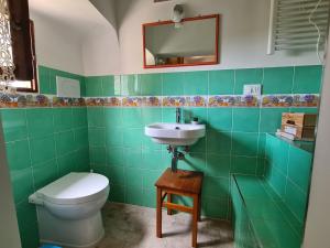 Il Casale Delle Farfalle في سيرولو: حمام أخضر مع مرحاض ومغسلة