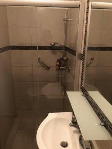 uma casa de banho com um lavatório e um chuveiro em Csopak Apartman em Csopak