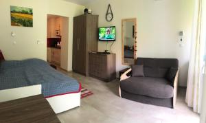 Televízia a/alebo spoločenská miestnosť v ubytovaní Csopak Apartman