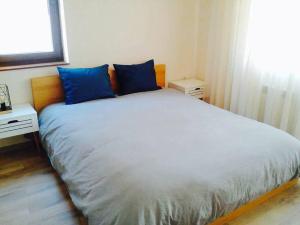 a bedroom with a bed with blue pillows and a window at 2 BED APARTMENT IN BANSKO RESORT in Bansko