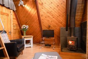 a living room with a fireplace and a tv at Wolf Lodge in Carrbridge