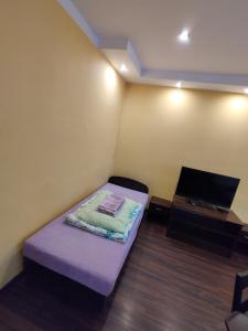 シェラツにあるNOCLEGI ELAの紫色のベッドと薄型テレビが備わる小さな客室です。