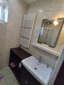 a bathroom with a sink and a mirror at NOCLEGI ELA in Sieradz