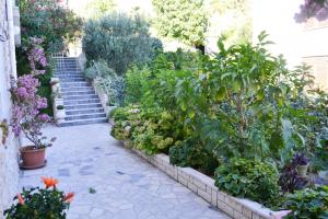Zahrada ubytování Apartments in Supetarska Draga with sea view, terrace, air conditioning, WiFi 4551-1 and 4551-2