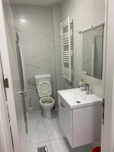 A bathroom at Apartman Popović