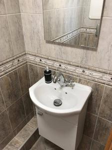 a bathroom with a white sink and a mirror at Apartment in Åsane in Bergen +8 photos