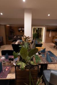 une table en bois avec une plante en pot au-dessus dans l'établissement Hotel Grütering, à Dorsten