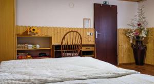 1 dormitorio con cama, silla y escritorio en Aunty Rezika's house, en Cerklje ob Krki