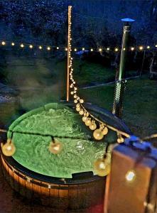 Kuća za odmor Malia sa Spa Hot Tub Jacuzzijem - Nice and Cozy في Ðurđevac: تجمع صغير من المياه الخضراء في حديقة في الليل