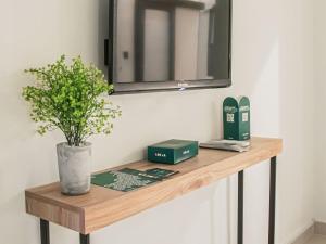 卡拉奇LOKAL Rooms x Shahrah-e-Faisal (Nursery)的木桌,带植物和镜子