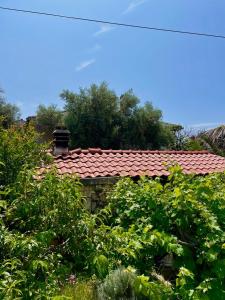 a house with a red roof and some bushes at Apartments Jovic in Mali Lošinj