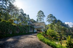 Aed väljaspool majutusasutust Manuel Manor