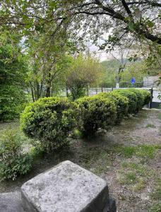 a stone bench sitting in front of some bushes at Casa Eroilor in Curtea de Argeş