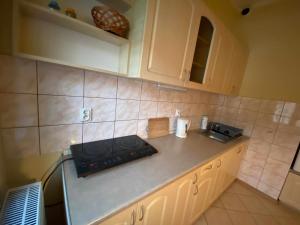 a kitchen with a stove and a counter top at Apartament w Willi Cis in Krynica Zdrój