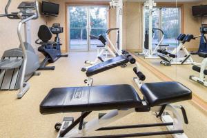 Wingate by Wyndham Anchorage Downtown - Ship Creek tesisinde fitness merkezi ve/veya fitness olanakları