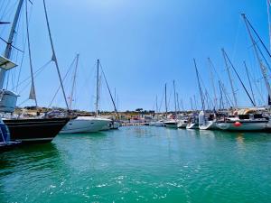 阿爾布費拉的住宿－Stay in a Boat - Algarve (Blue Pearl)，停靠在港口的一群船