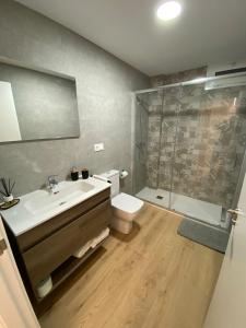 ein Bad mit einem WC, einem Waschbecken und einer Dusche in der Unterkunft Vistalmar in San Juan de Alicante