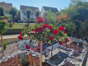 einen Garten mit einer Bank und roten Rosen in der Unterkunft Fewo-Kreiensen in Einbeck