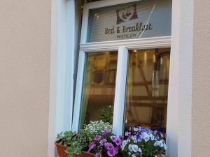 a window of a bed and breakfast with flowers at Bed and Breakfast Wehlen in Stadt Wehlen