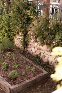 Slow Village Anduze - Cévennes外面的花园