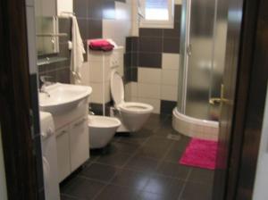 a bathroom with two toilets and a sink and a shower at APARTMAN LUCIA in Ražanac +95 photos