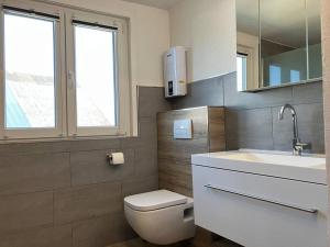 a bathroom with a toilet and a sink and a mirror at Großes Ferienhaus in Singhofen in Singhofen +28 photos