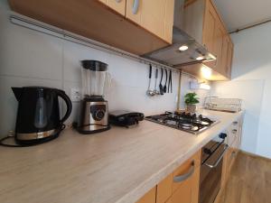 a kitchen with a blender on a counter at Apartment Zala with free parking Tour As Ljubljana in Ljubljana