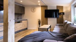 een woonkamer met een bank en een tv bij Apartment HarzLounge zentrumnah GrillChill Garten in Thale