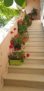 A garden outside El Giardino delle Rose.....